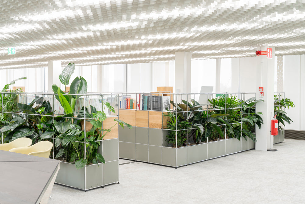 Office + New Work