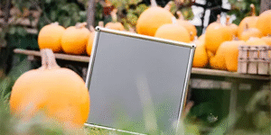 Inner, outer, intermediate and pull-out shelf? Hinged door? Glass element? WHAT!? – We show you when you need which product!